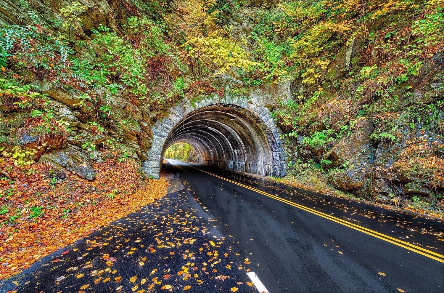 Hidden Memories, Hot Tub, 1089 Of Free Attraction Tickets For Each Paid Day, Dollywood And More Gatlinburg Esterno foto